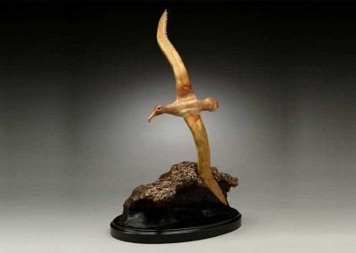 Albatross Bronze Sculpture | Wave Runner