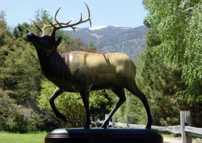 Elk Bronze Statue | Mountain Majesty